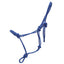 STC Horsemanship Halter