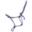 STC Horsemanship Halter