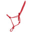 STC Horsemanship Halter