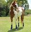 STC Horsemaster Ballistic Dark Blue Fly Boots - Set of 4 - Equine Horse Wear - Default Title