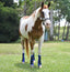 STC Horsemaster Ballistic Dark Blue Fly Boots - Set of 4 - Equine Horse Wear - Default Title
