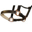 STC Jeremy & Lord Padded Leather Halter with Rose Gold Fittings - Equine Horse Wear - Full-Cob