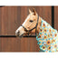 STC Kool Master Fly Mesh Combo w/Surcingles - Sunflowers - Equine Horse Wear - 4'6 NZ (5'9" AU)