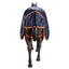 STC Kozy 1200D Lite Rainsheet Combo - Navy/Orange - Equine Horse Wear - 4'3 NZ (5'6" AU)-5'3 NZ (6'6" AU)-5'6 NZ (6'9" AU)