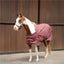 STC Kozy 1200D Rainsheet Rug - Chocolate - Equine Horse Wear - 4'0 NZ (5'3" AU)-4'3 NZ (5'6" AU)-4'6 NZ (5'9" AU)-4'9 NZ (6'0" AU)-5'0 NZ (6'3" AU)