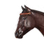 STC Leather Browband Flyveil - Equine Horse Wear - One Size