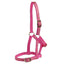STC Rancher Deluxe Foal Halter