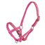 STC Rancher Deluxe Foal Halter