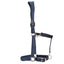 STC Rancher Ear Relief Glitter Halter - Navy - Equine Horse Wear - Full-Cob-Pony