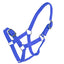 STC Rancher Economy Foal Halter - Equine Horse Wear - Purple-Blue-Hunter Green-Red
