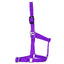 STC Rancher Economy Foal Halter - Equine Horse Wear - Purple-Blue-Hunter Green-Red