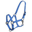 STC Rancher Halter with Black Detail - Equine Horse Wear - Black / Full-Black / Cob-Black / Pony-Blue / Full-Blue / Cob
