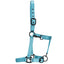 STC Rancher Halter with Black Detail - Equine Horse Wear - Black / Full-Black / Cob-Black / Pony-Blue / Full-Blue / Cob