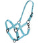 STC Rancher Halter with Black Detail - Equine Horse Wear - Black / Full-Black / Cob-Black / Pony-Blue / Full-Blue / Cob