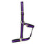 STC Rancher No-Rub Deluxe Halter - Equine Horse Wear - Black/Blue / Full-Black/Blue / Cob-Black/Purple / Full-Black/Purple / Cob-Black/Red / Full