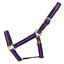 STC Rancher No-Rub Deluxe Halter - Equine Horse Wear - Black/Blue / Full-Black/Blue / Cob-Black/Purple / Full-Black/Purple / Cob-Black/Red / Full
