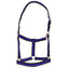 STC Rancher No-Rub Deluxe Halter - Equine Horse Wear - Black/Blue / Full-Black/Blue / Cob-Black/Purple / Full-Black/Purple / Cob-Black/Red / Full