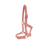 STC Rancher Nylon Foal Halter with Buckles