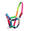 STC Rancher Rainbow Foal Halter