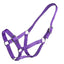 STC Rancher Stable Halter