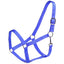 STC Rancher Stable Halter - Various Colours