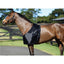 STC STC Satin Rug Bib - Equine Horse Wear - Pony-Cob-Full