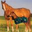 STC Thermo Master 600D Growing Foal Rug - Emerald Diamond - Equine Horse Wear - Foal