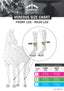 Veredus Magnetik Stable Boot Front - Equine Horse Wear 